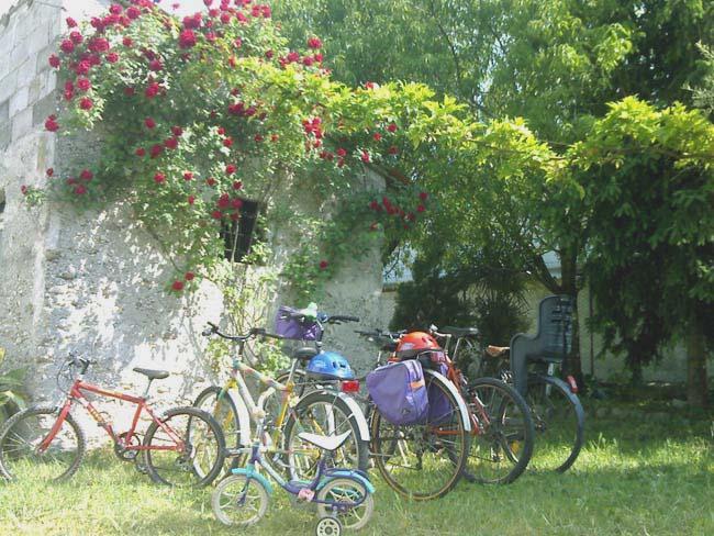 Hôtel Corte Canale Virgilio à Volta Mantovana Extérieur photo